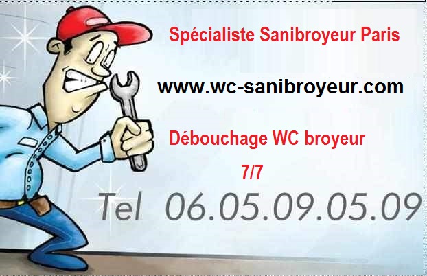 Dépannage de WC Broyeur